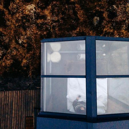 Tiny Glass Lodge Experience The Nature Selfoss Ngoại thất bức ảnh